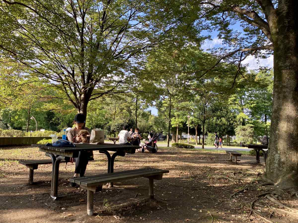 光が丘公園、駐車場すぐのテーブル席