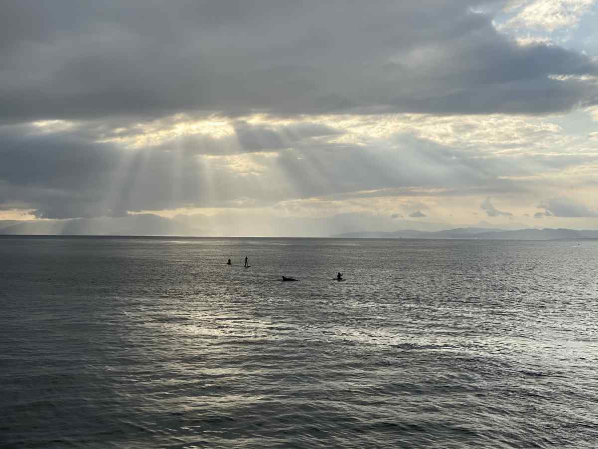 江の島から望む海