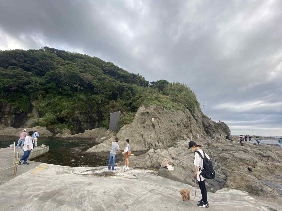 江の島の「稚児ヶ淵」の岩場