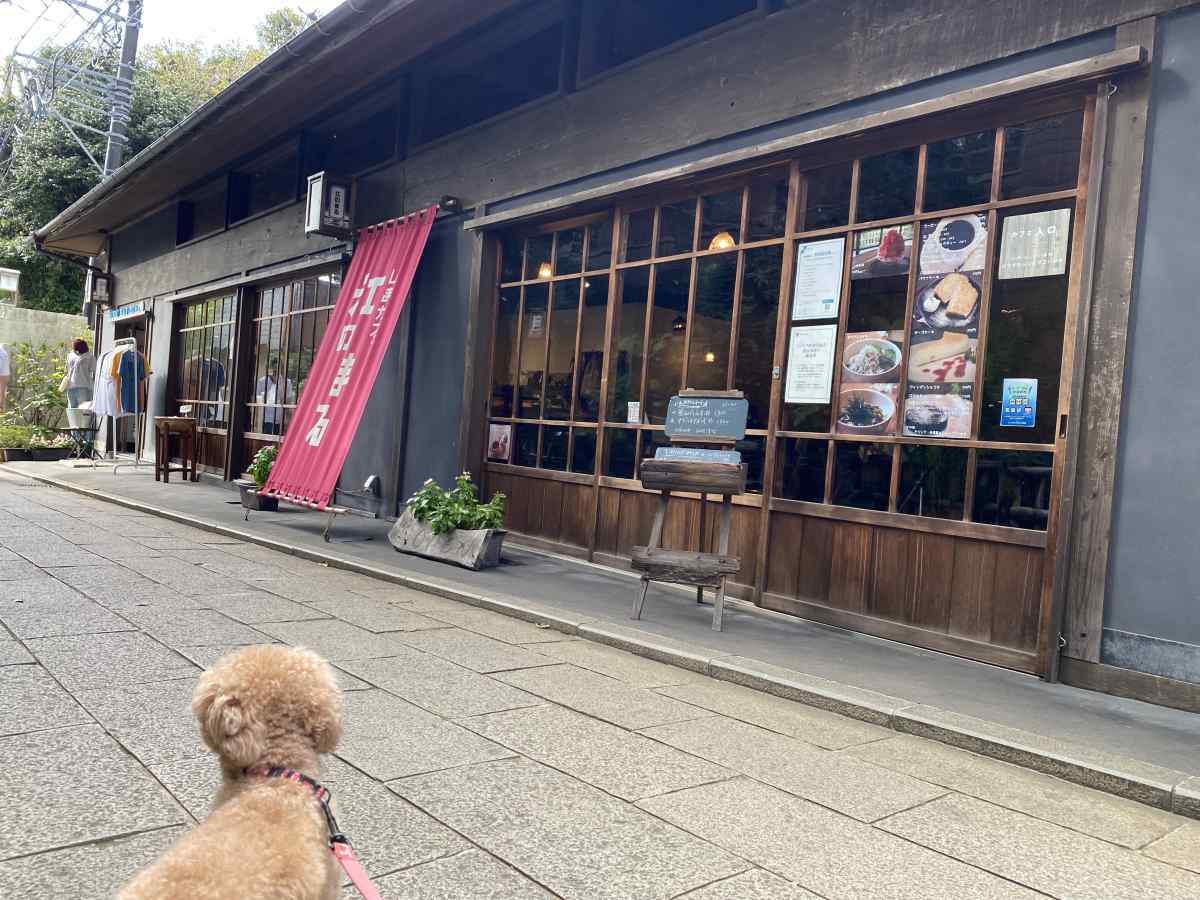 江の島のおしゃれなお店