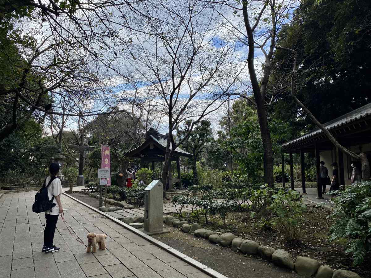 江の島の頂上辺り