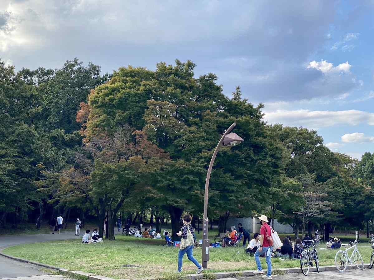 光が丘公園、南側の広場