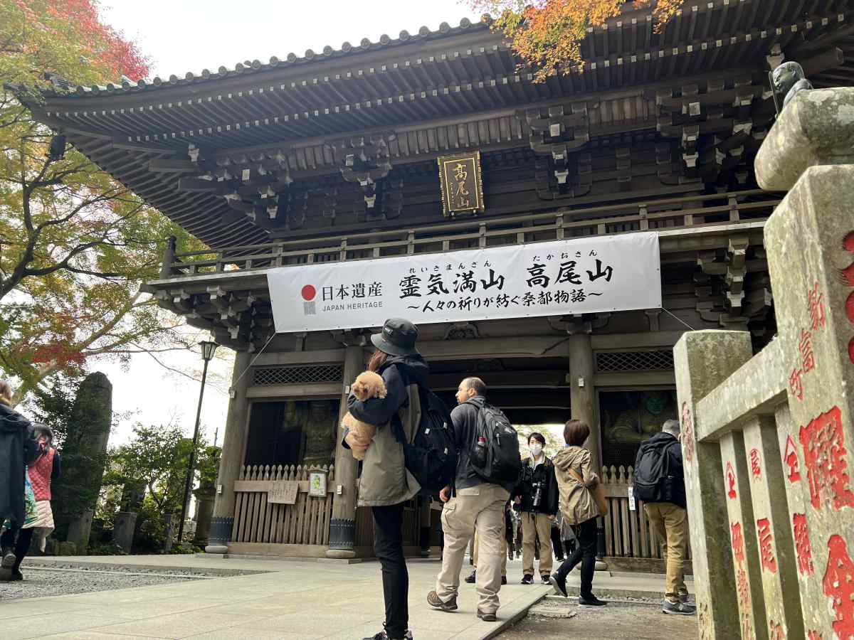 高尾山の登山道