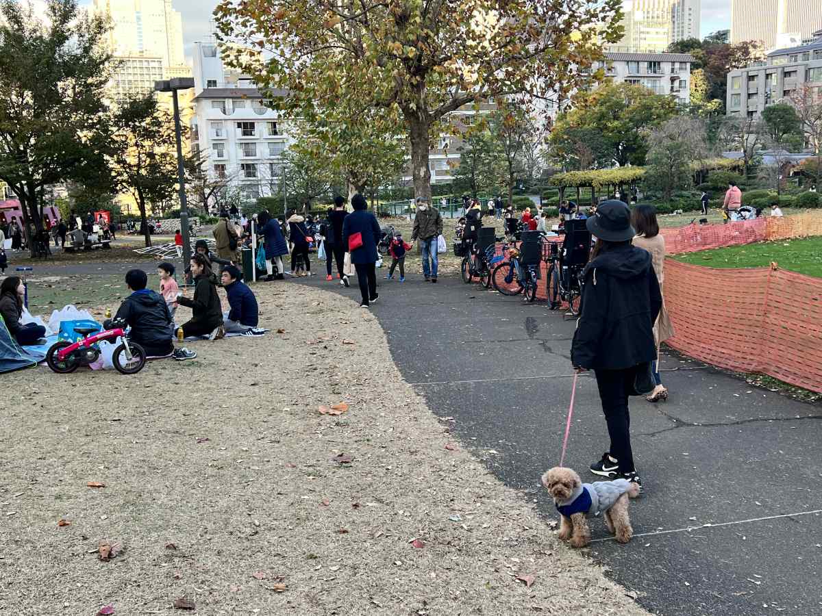 ミッドタウン、港区立檜町公園