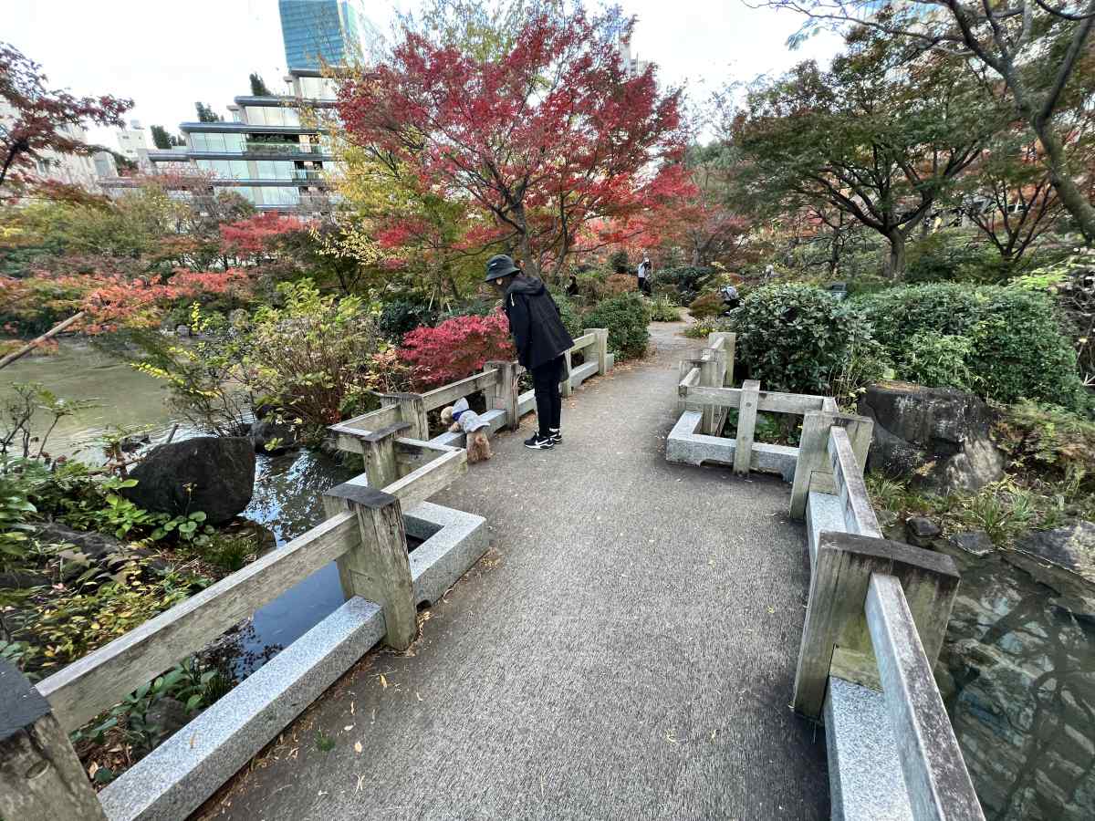 ミッドタウン、港区立檜町公園