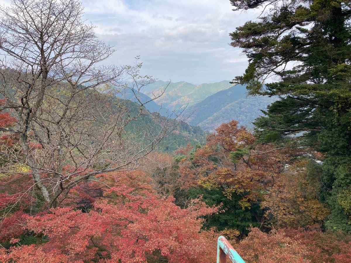 高尾山からの眺望