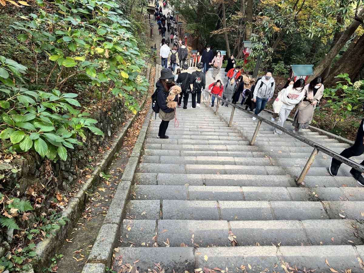 高尾山の山道