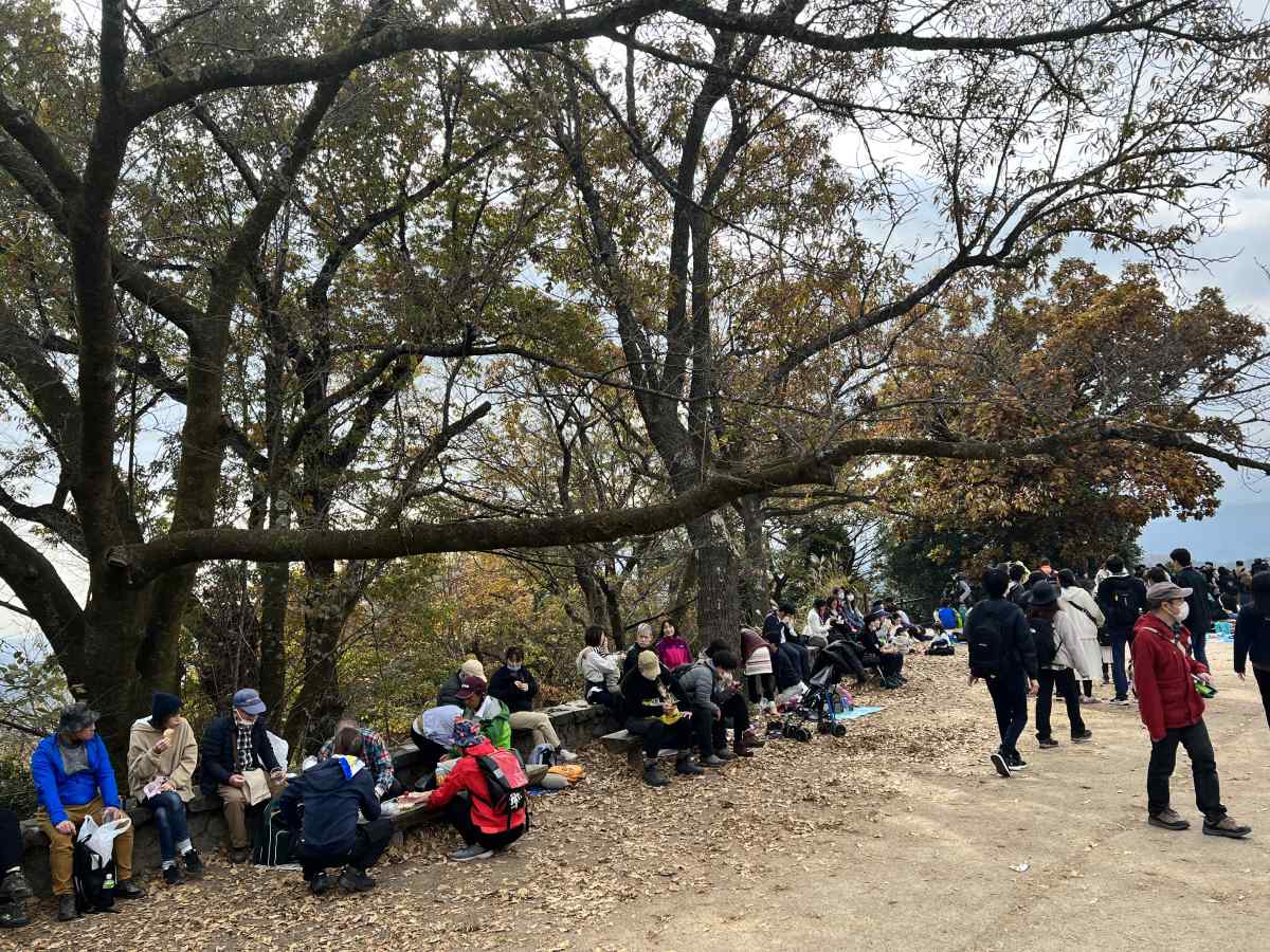 高尾山の頂上の雰囲気