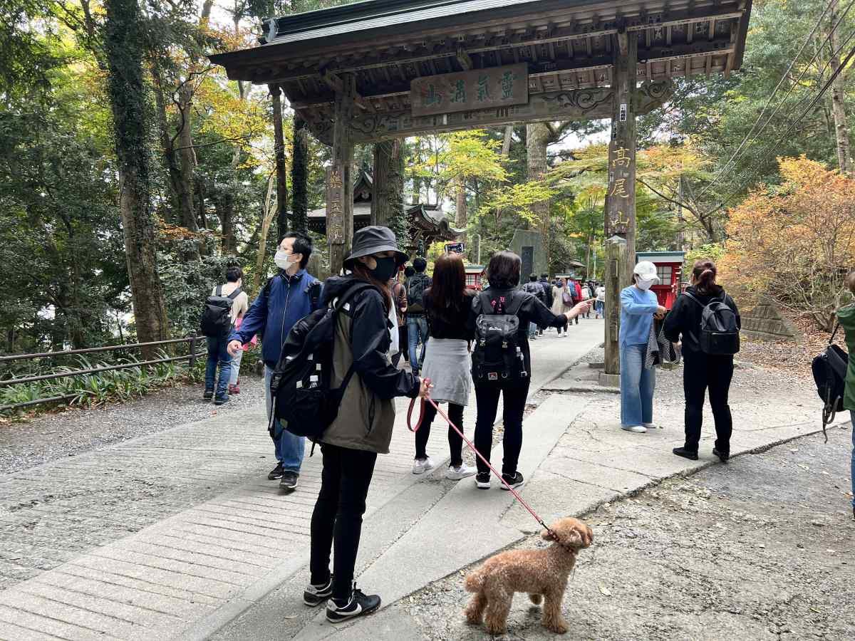 高尾山の登山道