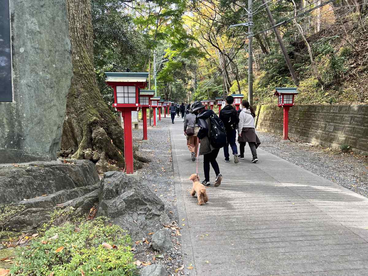 高尾山の登山道