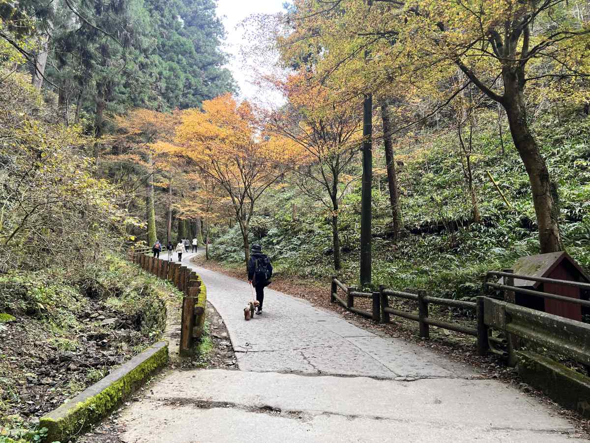 高尾山の登山道