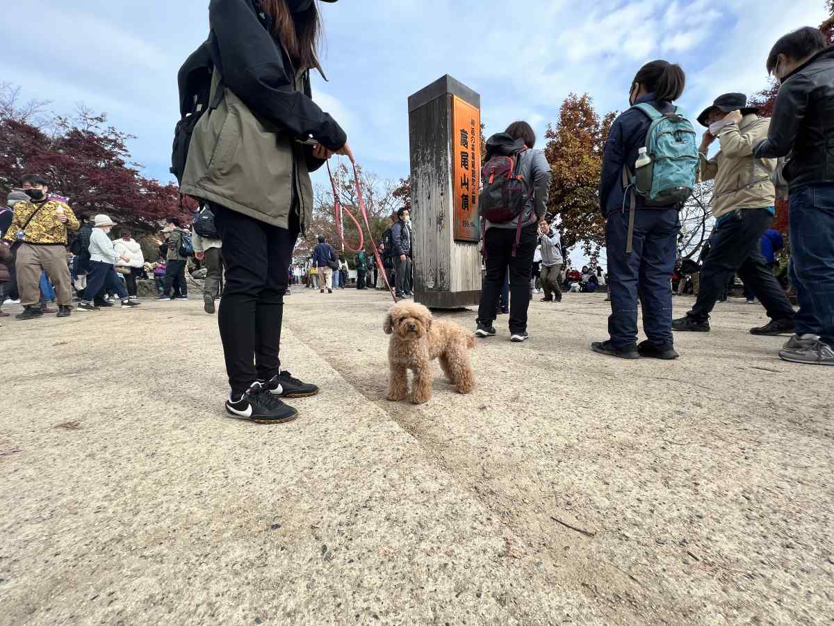 高尾山の山頂にて