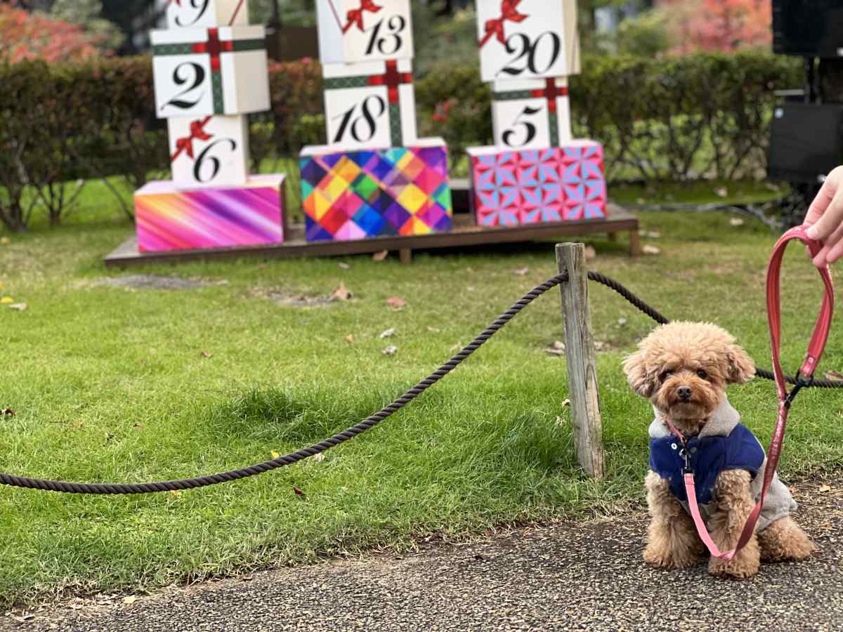 ミッドタウンで愛犬と