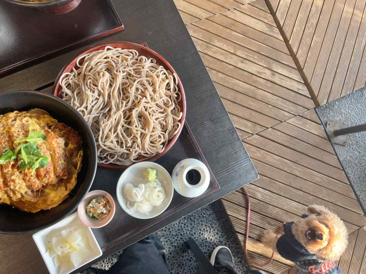 駒沢公園・お蕎麦の「五大」、犬と一緒