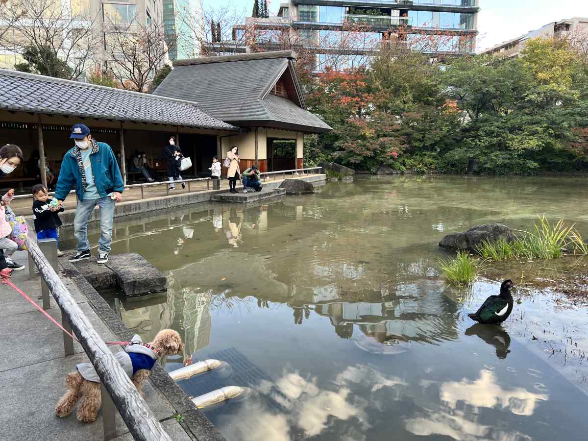 ミッドタウン、港区立檜町公園