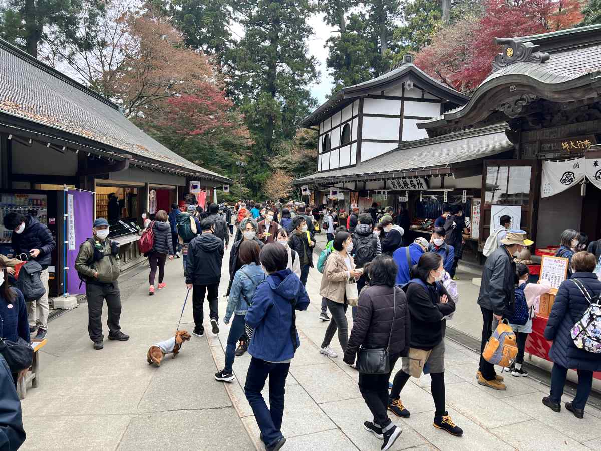 高尾山の薬王院付近