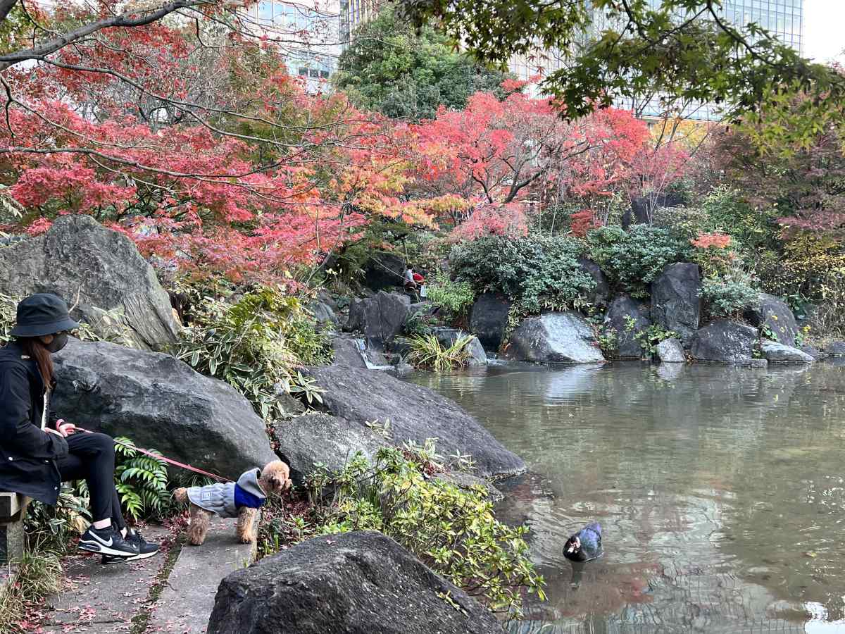 ミッドタウン、港区立檜町公園