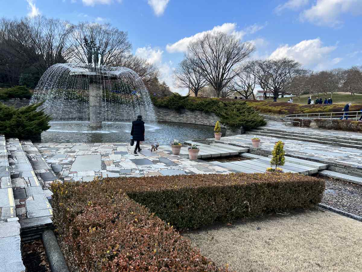 昭和記念公園の噴水