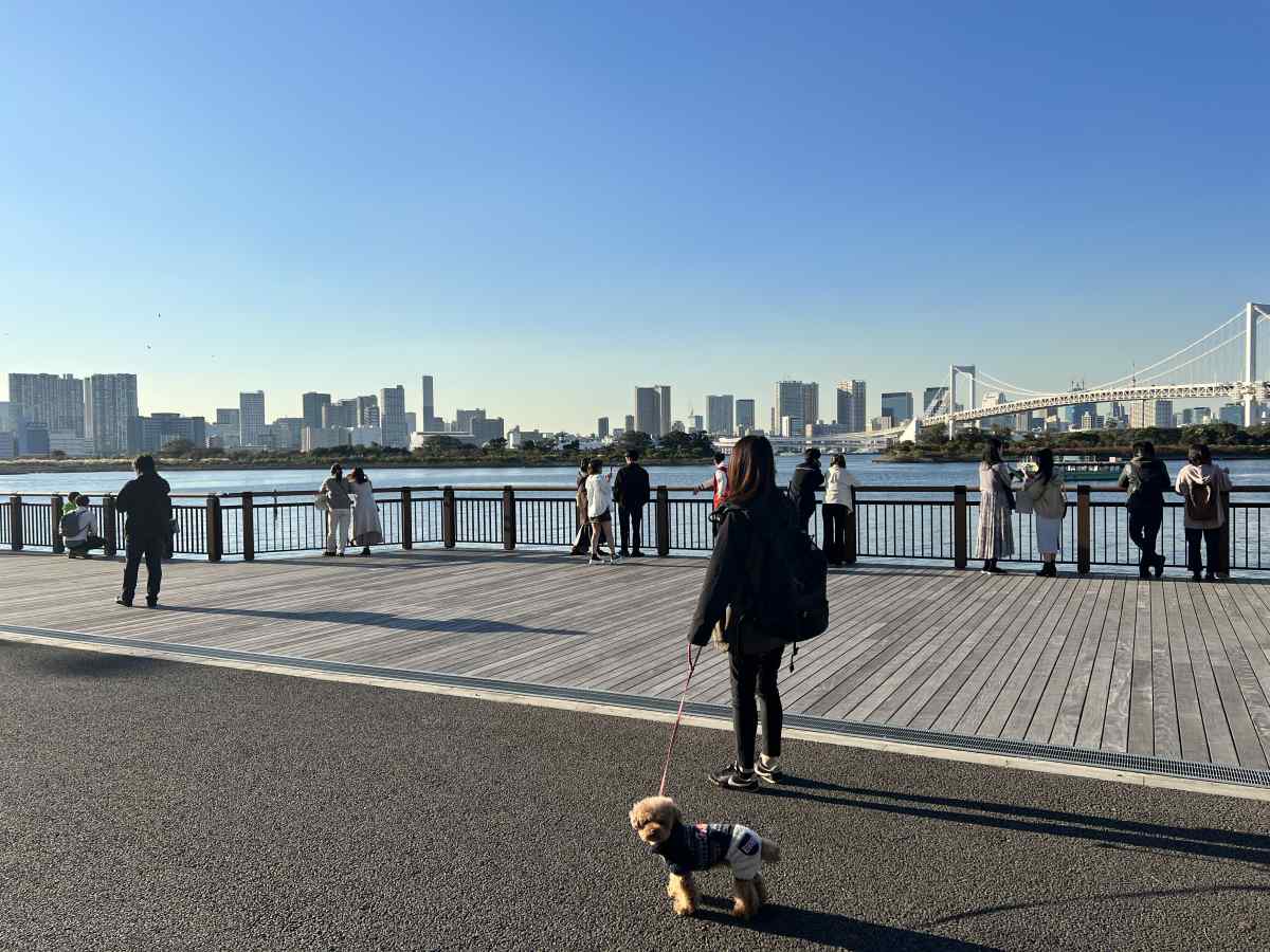 デックスビーチに愛犬と