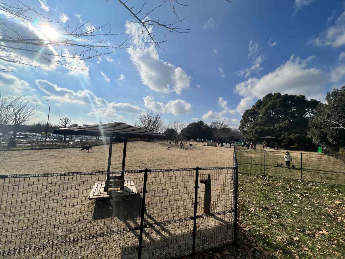 昭和記念公園ドッグラン