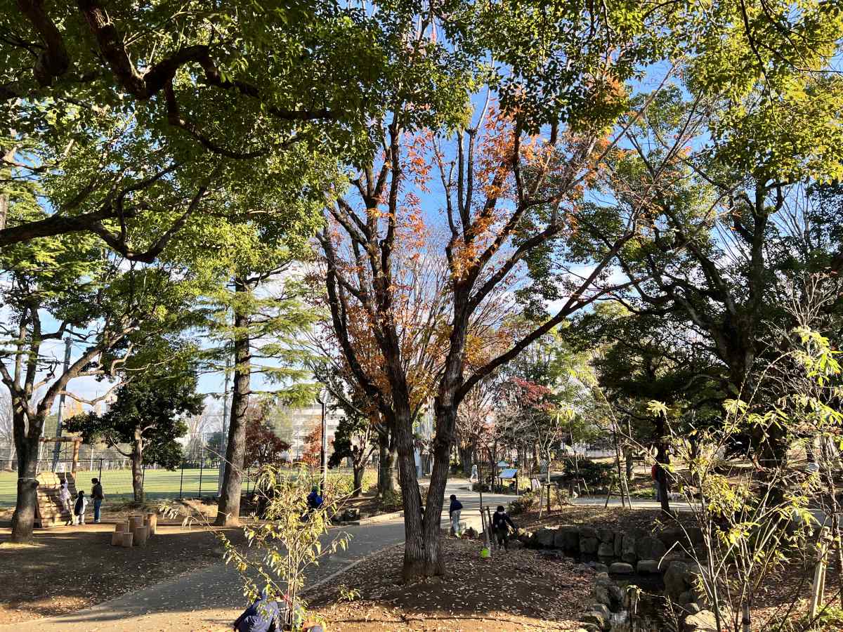 中野区「平和の森公園」の森と遊具