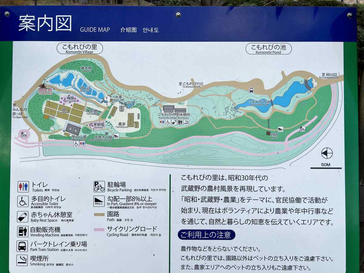 昭和記念公園の「こもれびの里」