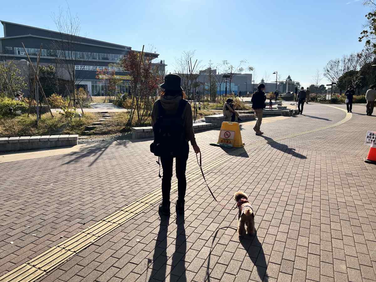 平和の森公園の雰囲気