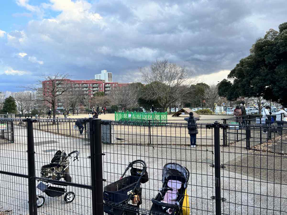 昭和記念公園のドッグラン