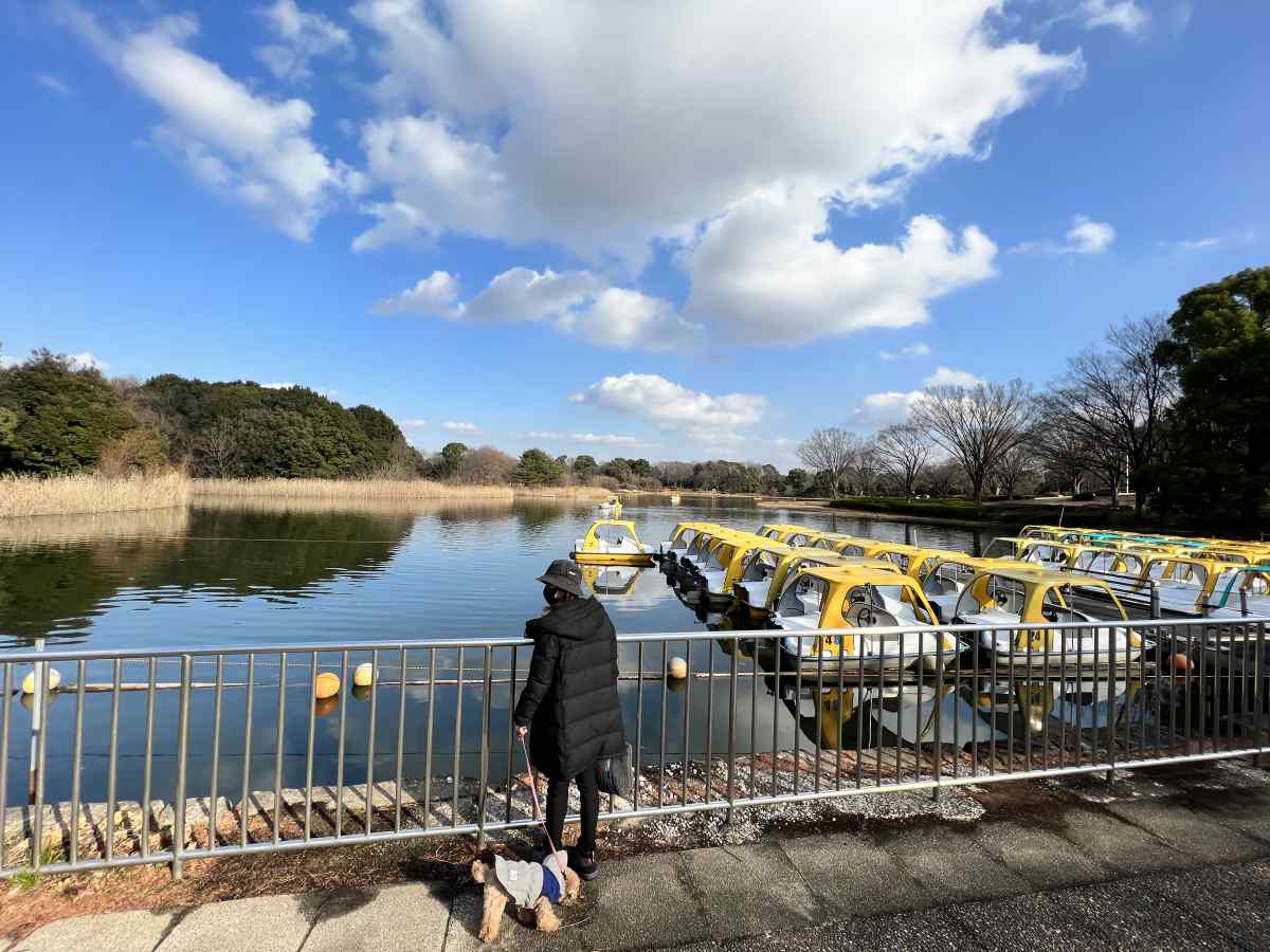 昭和記念公園の湖