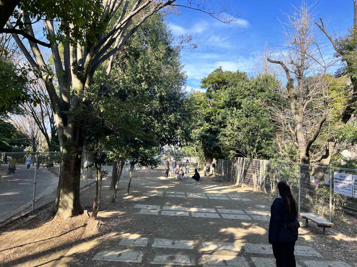 平和の森公園のドッグラン、大型犬エリア