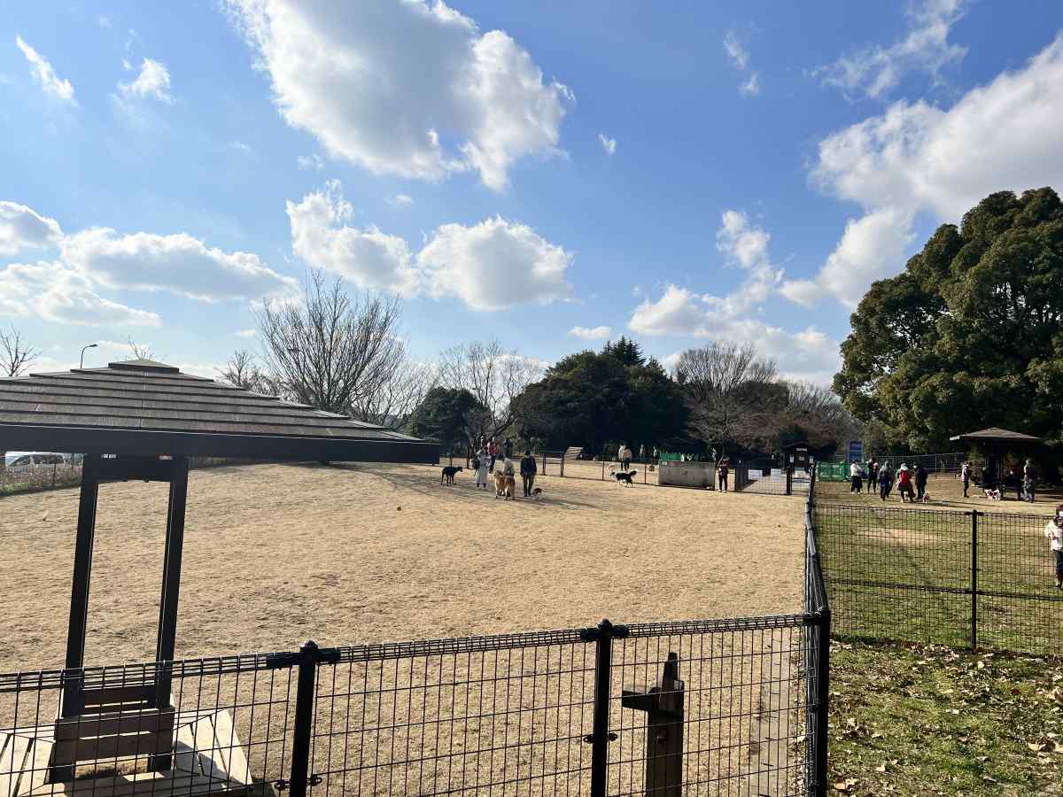 昭和記念公園ドッグラン