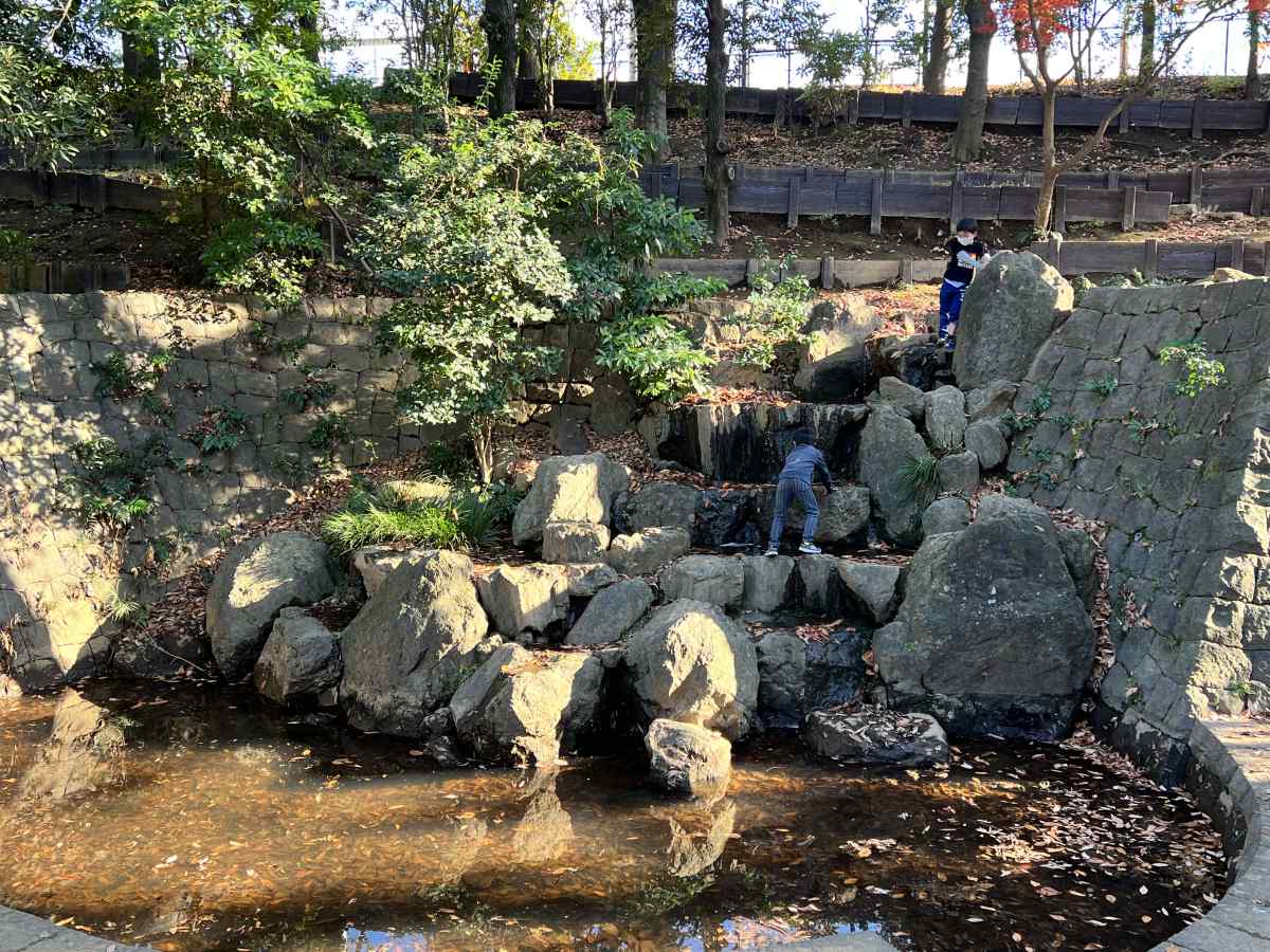 中野区「平和の森公園」の滝と池②