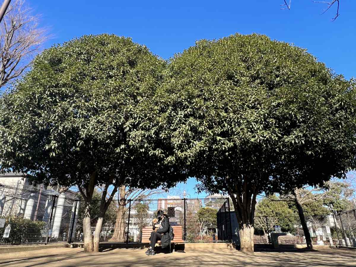 落合公園、犬の広場（ドッグラン）の様子