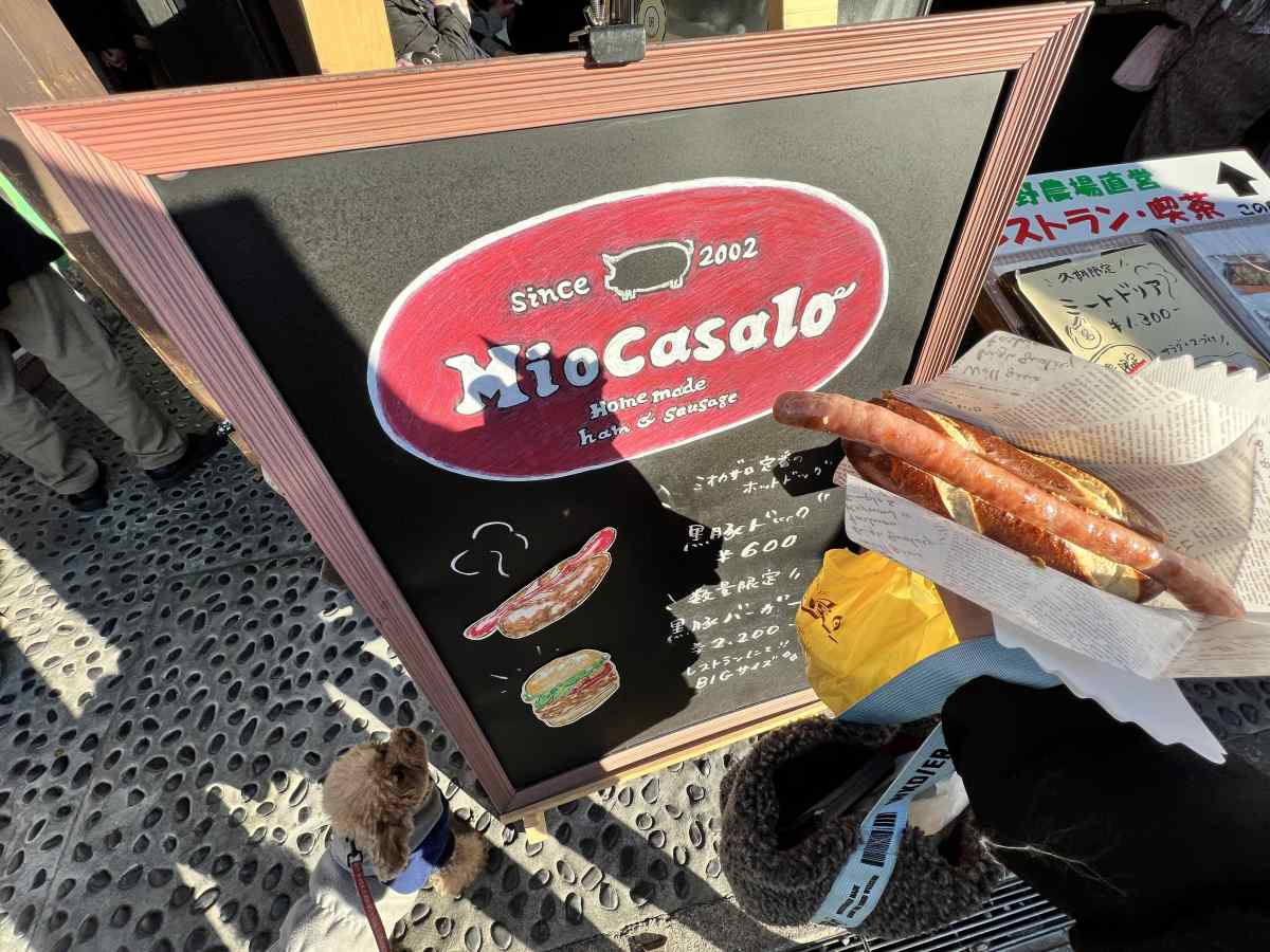 川越「Miocasalo」の「黒豚ドック」