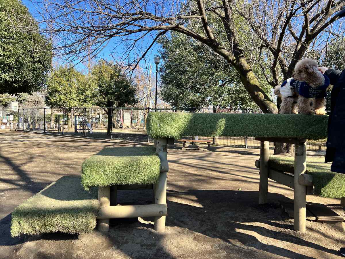 落合公園、犬の広場（ドッグラン）に愛犬と