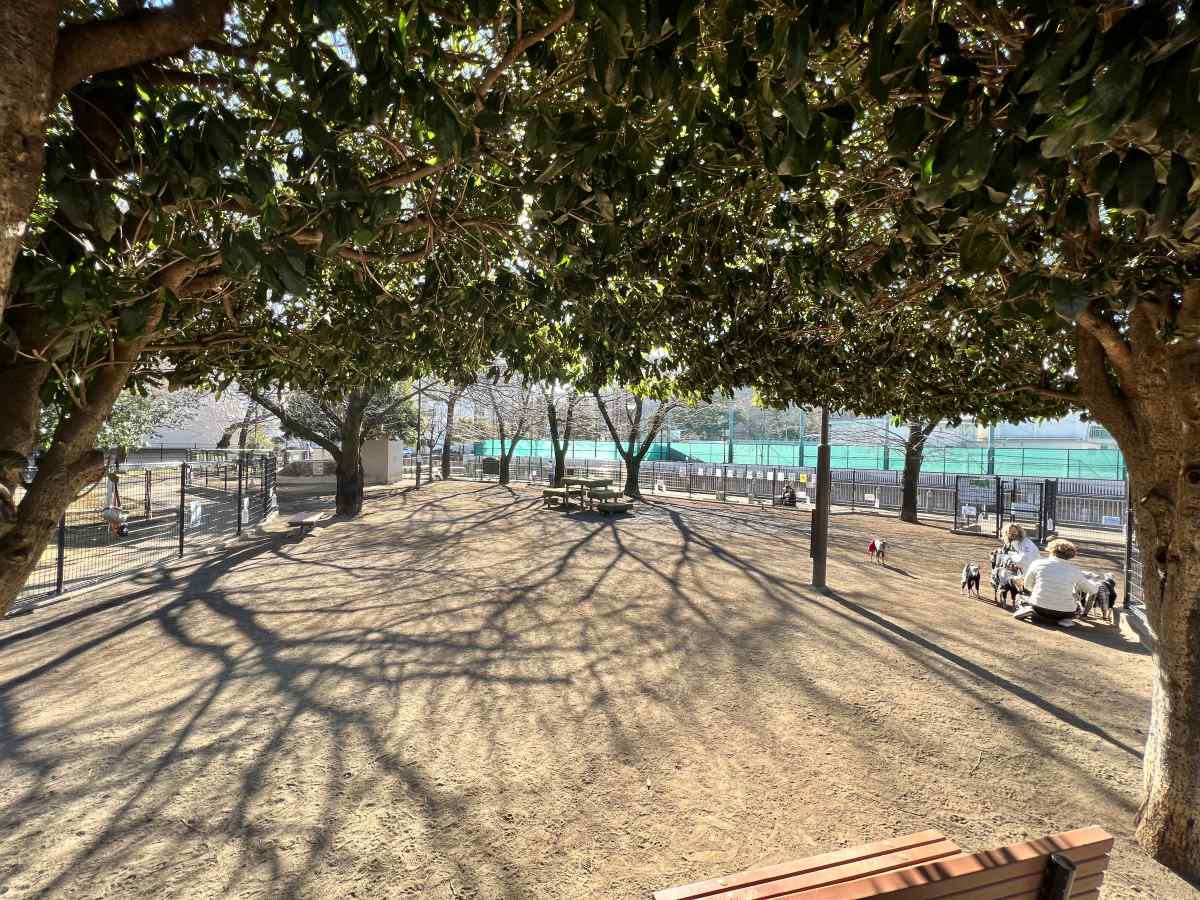 落合公園、犬の広場(ドッグラン)の様子