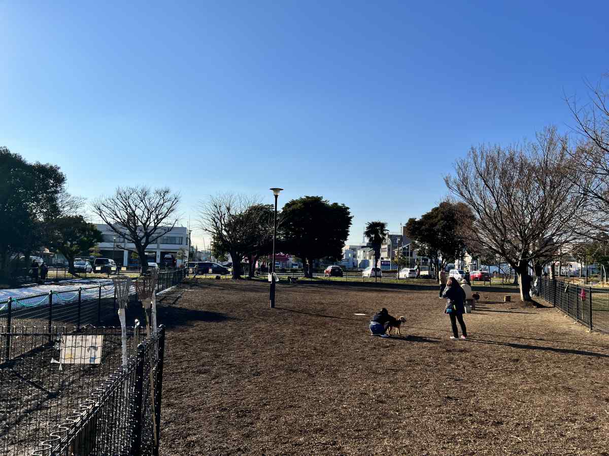 篠崎公園のドッグラン