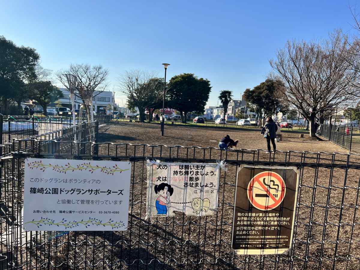 篠崎公園のドッグランの様子