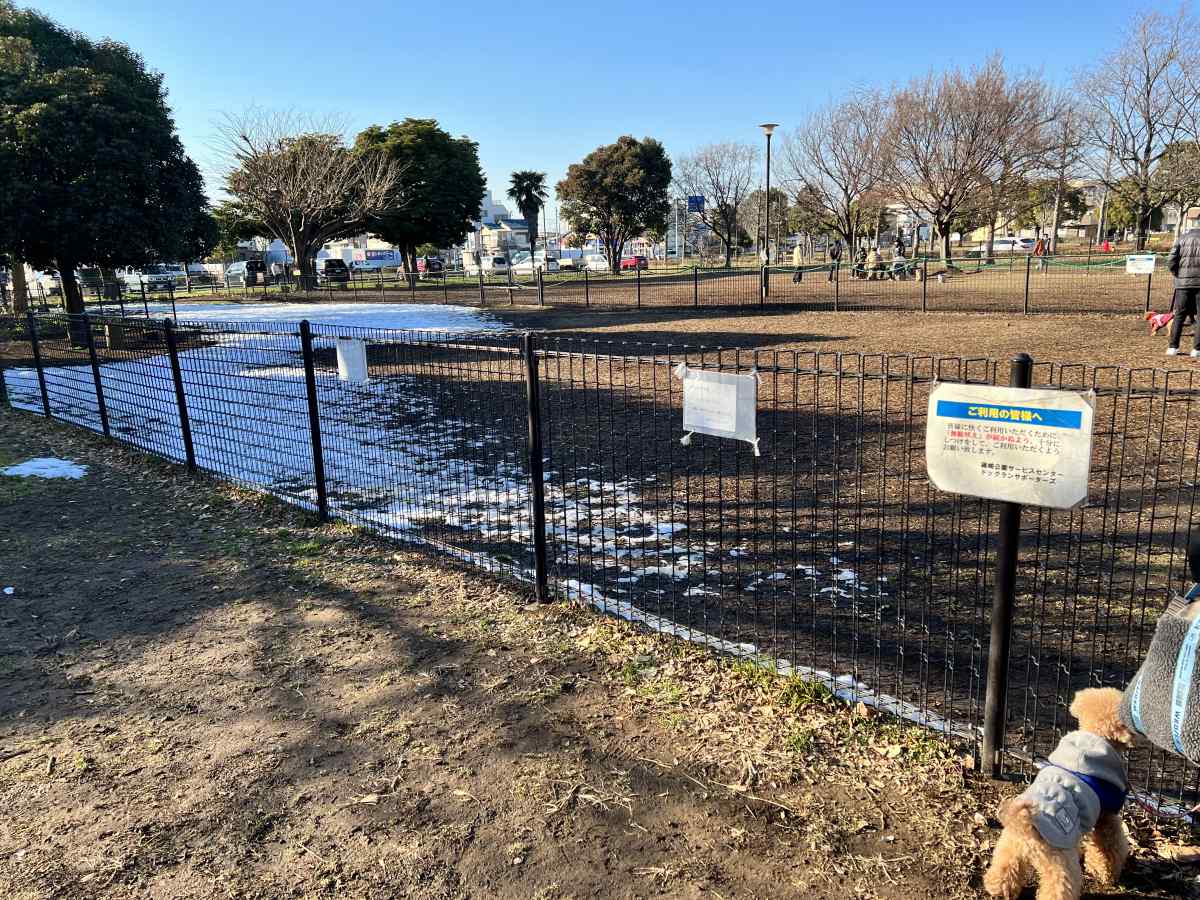 篠崎公園のドッグラン