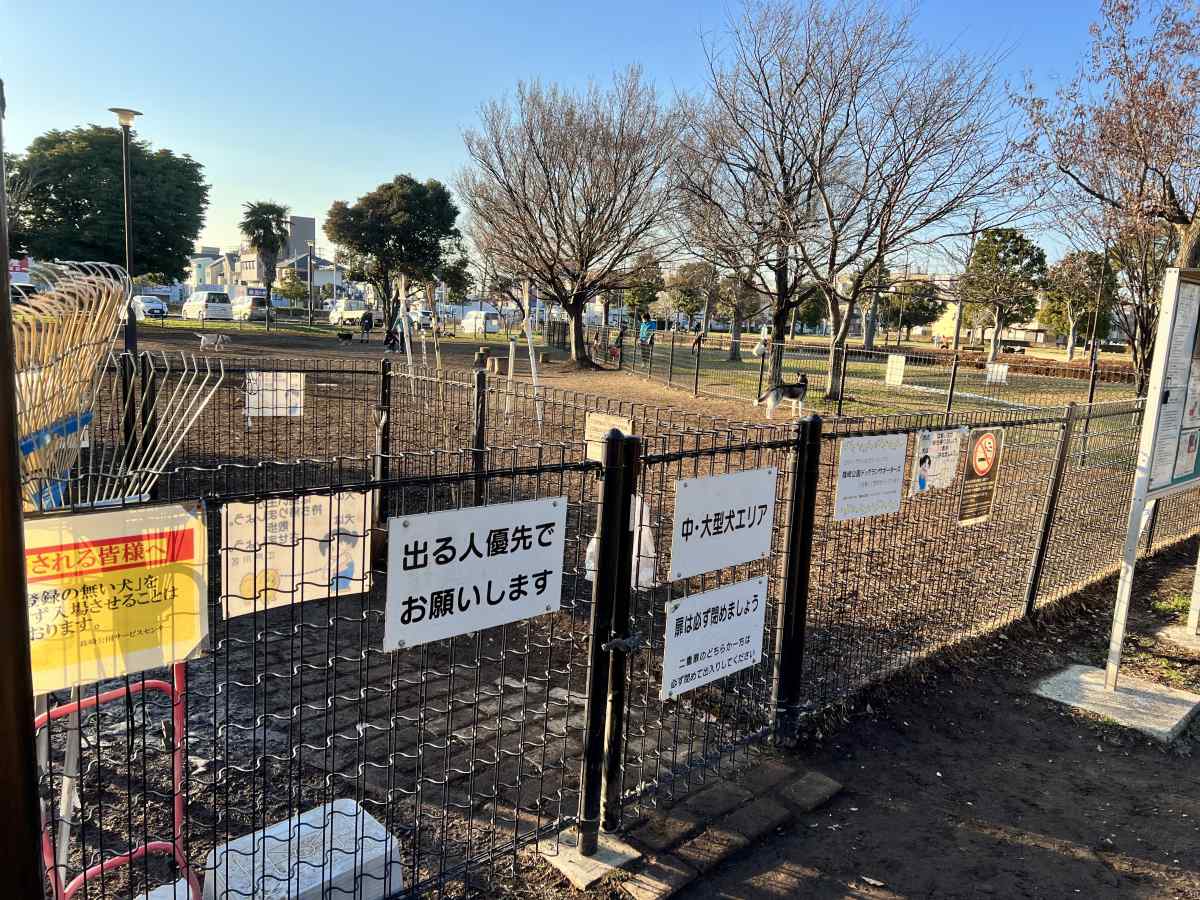 篠崎公園B地区のドッグラン