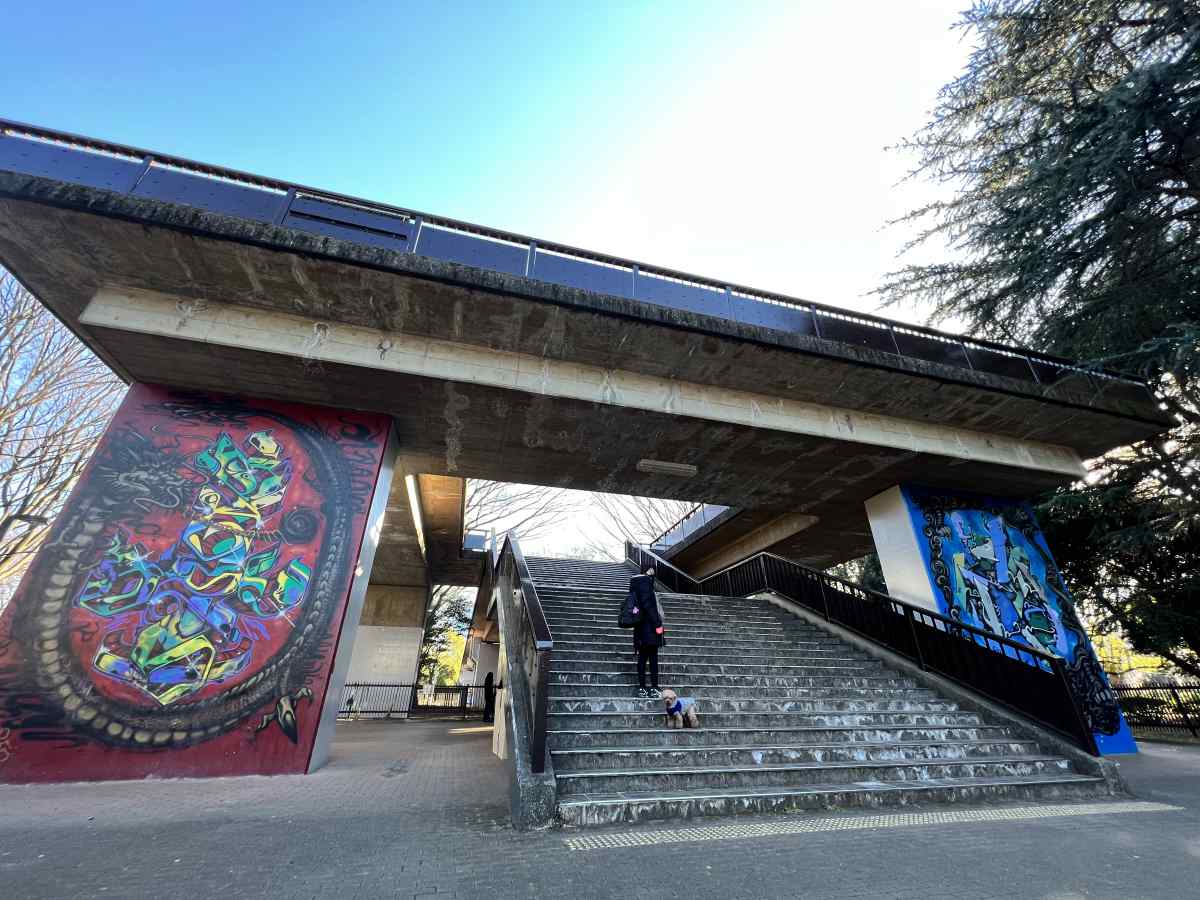 代々木公園の渋谷川に向かう陸橋