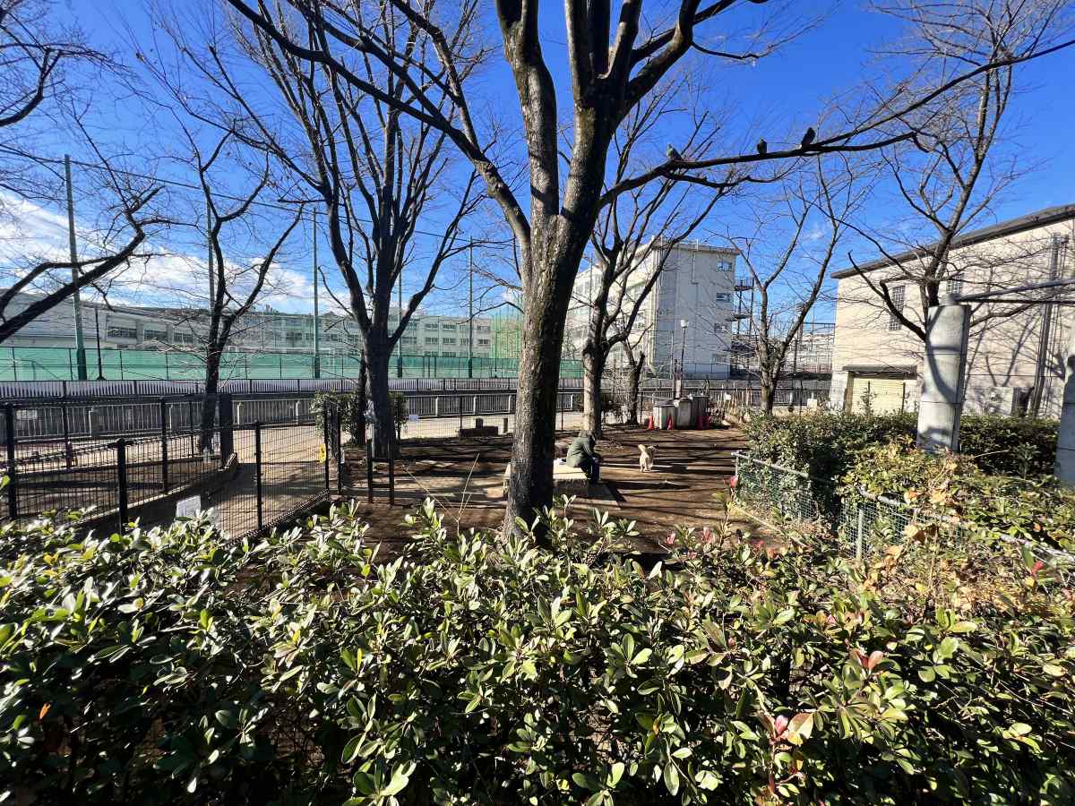 落合公園、犬の広場（ドッグラン）の様子