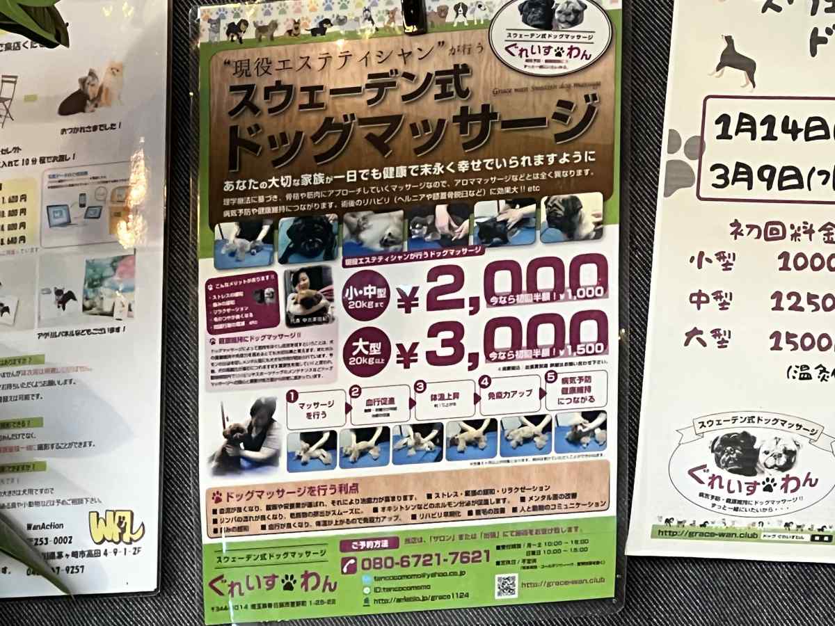 篠崎公園B地区すぐの「カフェHAN」主催イベント