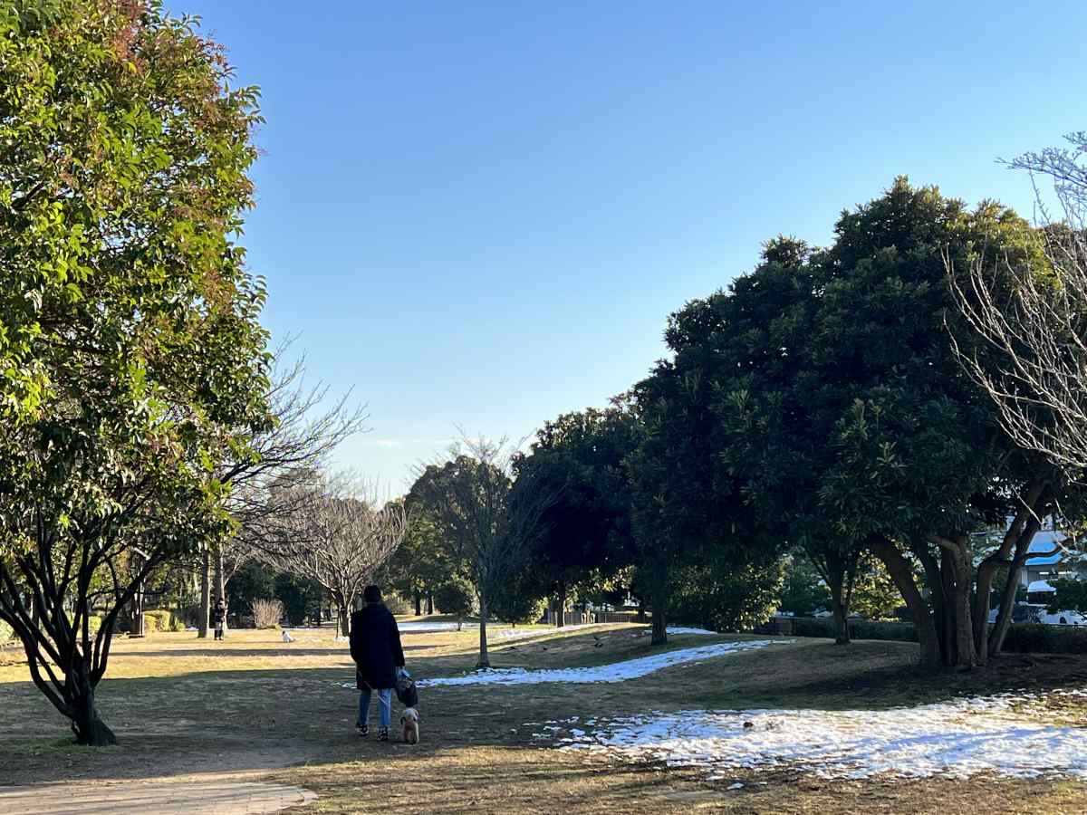 篠崎公園B地区を愛犬と散歩