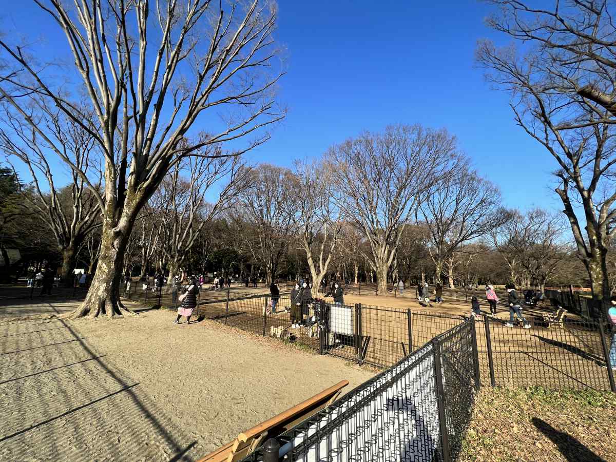 代々木公園のドッグラン