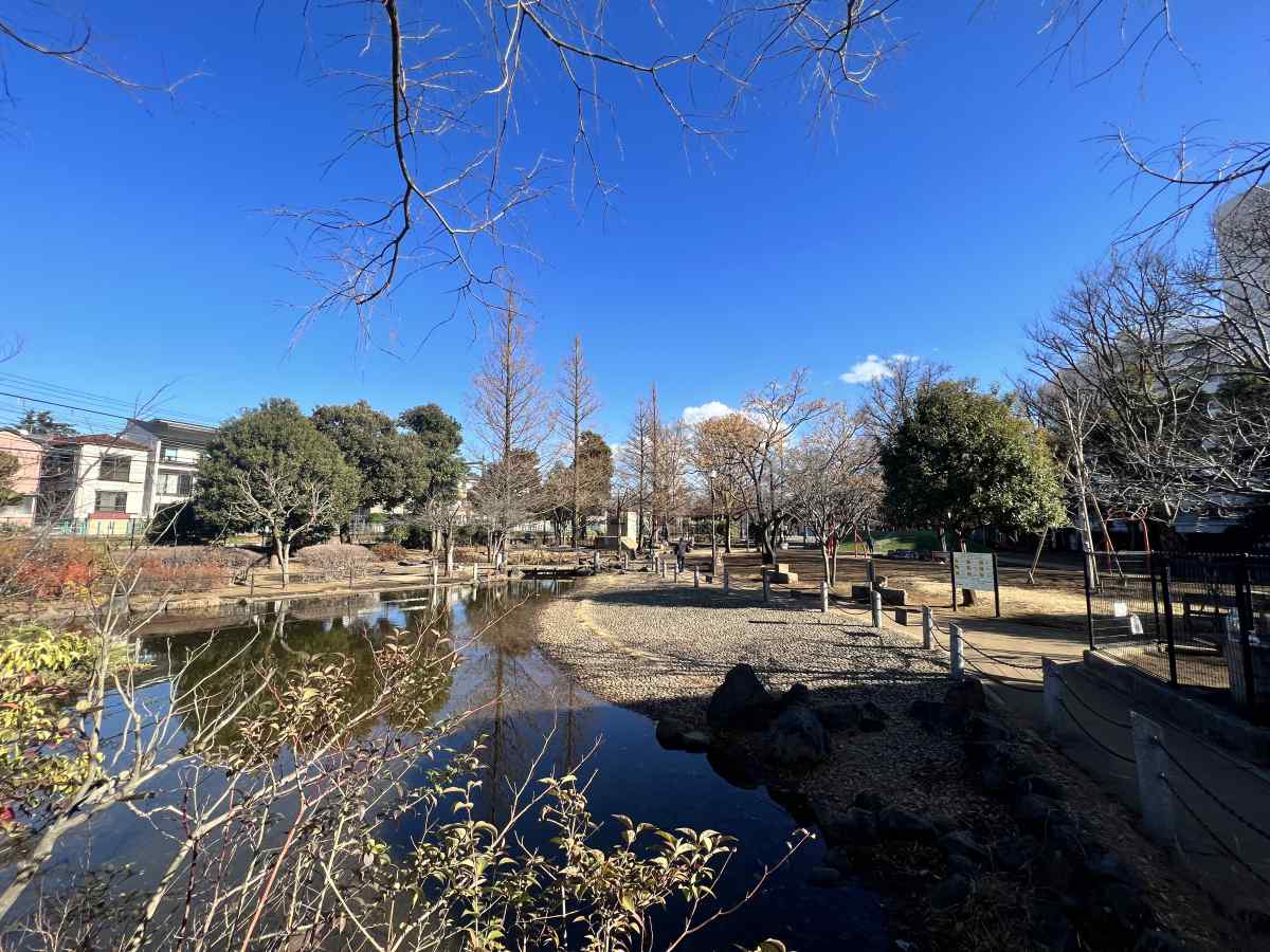 落合公園の池、この辺は犬連れ禁止