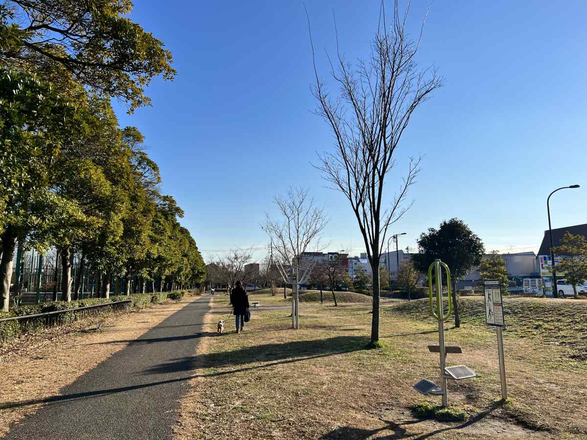 篠崎公園B地区を愛犬と散歩