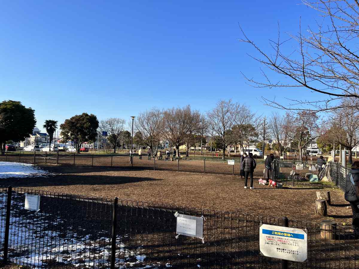 篠崎公園のドッグラン