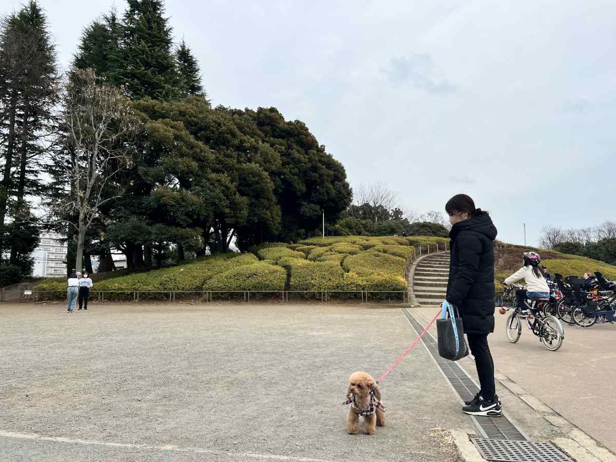 世田谷公園の山