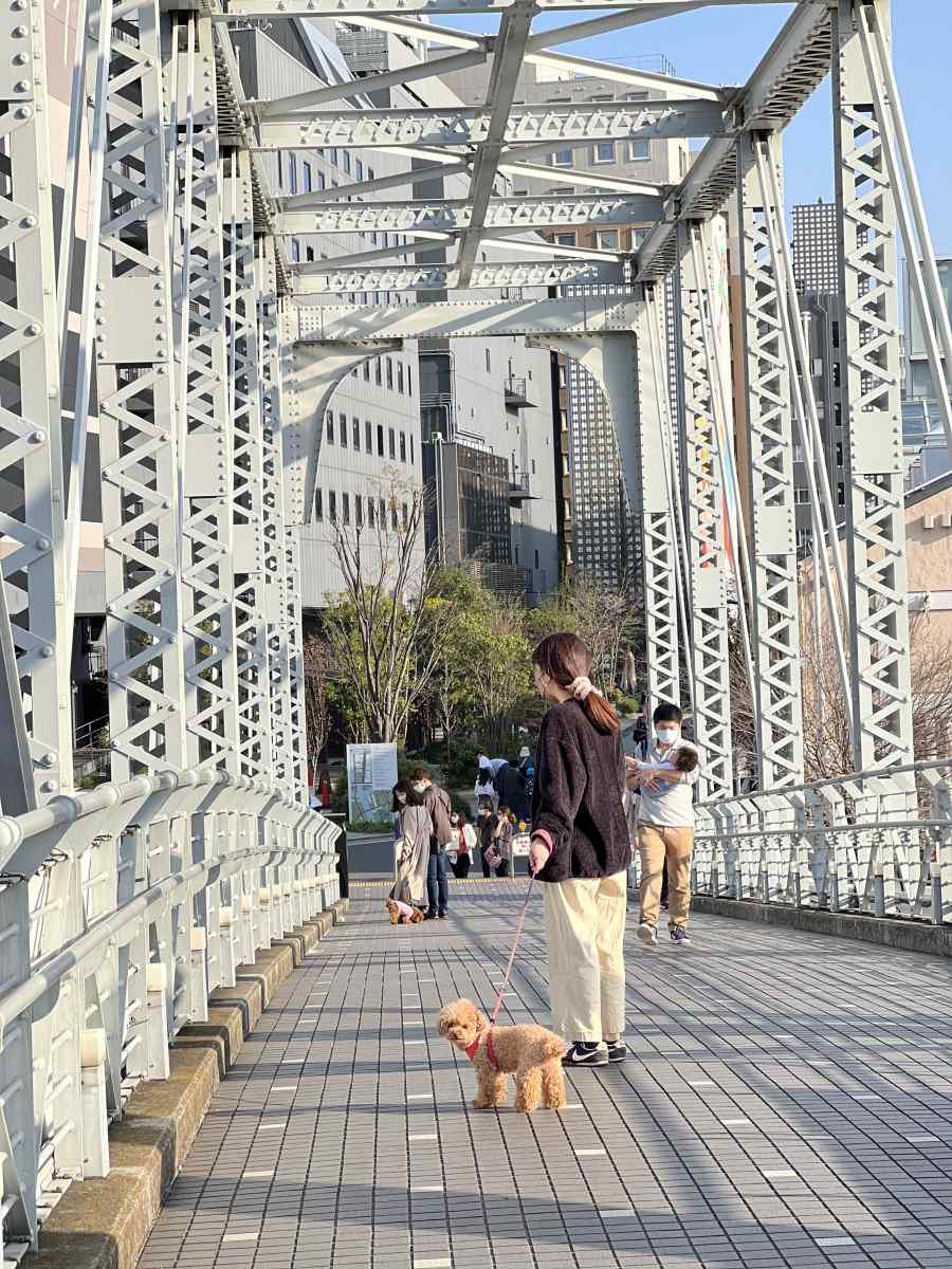 天王洲アイルのふれあい橋